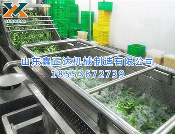 清洗風(fēng)干油炸流水線